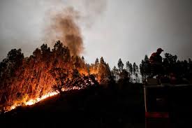 dep-Víctimas-del-incendio-de-Portugal-esquela-online-1