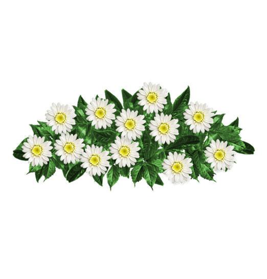 Ramo-flores-pesame-online-fallecido-Estrella Cabeza Gallego-1