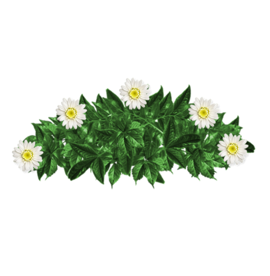 Ramo-flores-pesame-online-fallecido-Letizia Battaglia-4
