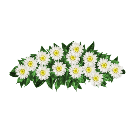 Ramo-flores-pesame-online-fallecido--11