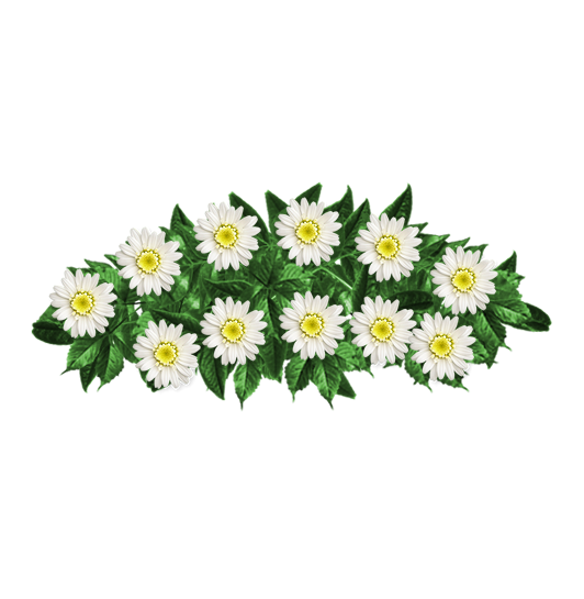 Ramo-flores-pesame-online-fallecido--9